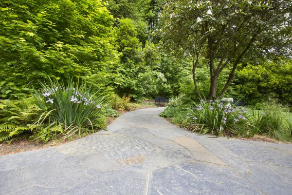 Stone Hardscape Service in Lansdale