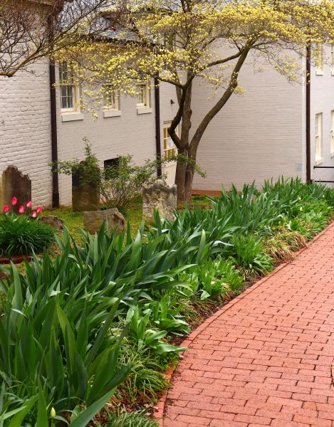 Brick Flatwork Repair in Lansdale